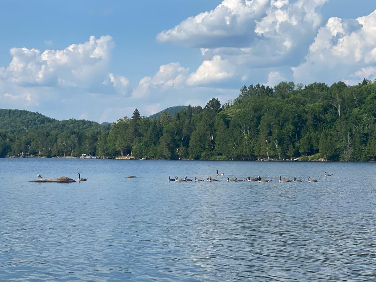 Chalets Et Studios Le Vent Du Nord Lac-Superieur Kültér fotó