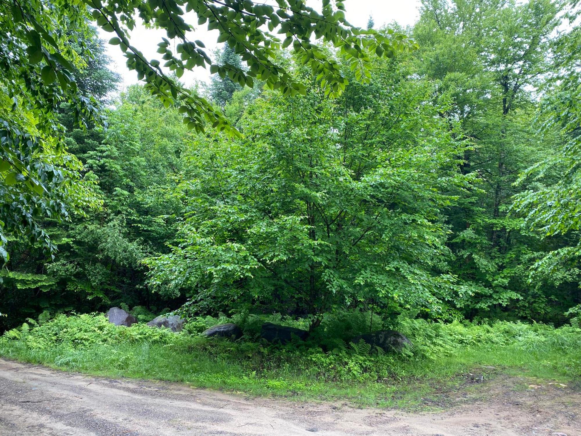 Chalets Et Studios Le Vent Du Nord Lac-Superieur Kültér fotó
